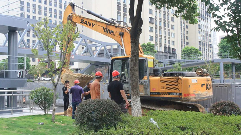 炎炎夏日送清涼，滴滴關懷潤人心